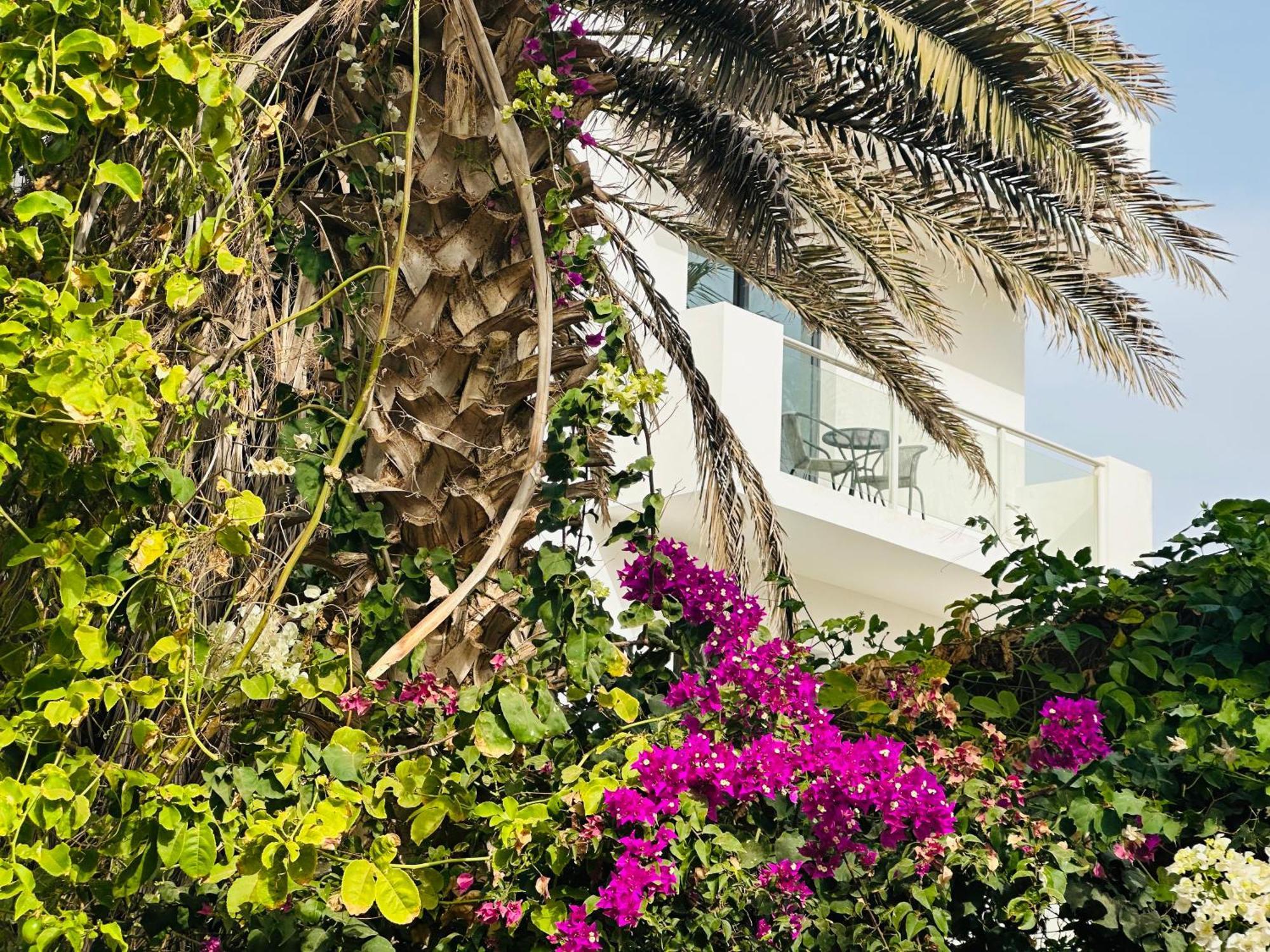 Atlantic Sal Design Apartments Santa Maria Buitenkant foto